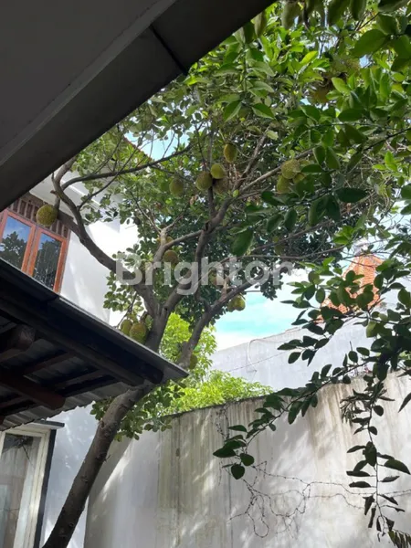 image RUMAH SEMAMPIR TENGAH DEKAT MERR, KENJERAN, SIMOKERTO  (5)