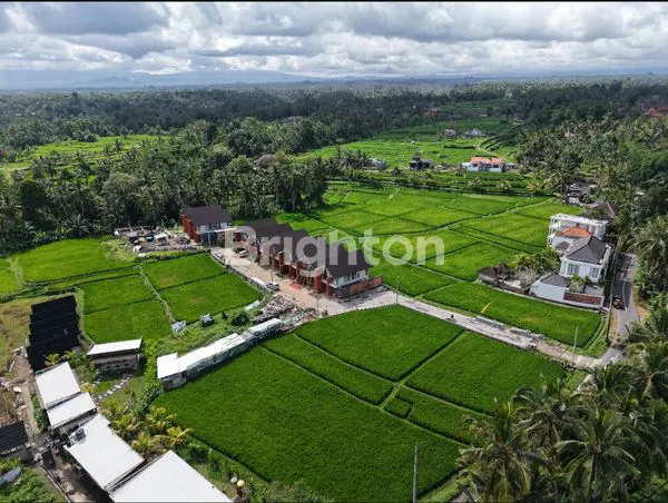 image VILLA DI UBUD VIEW SAWAH (7)