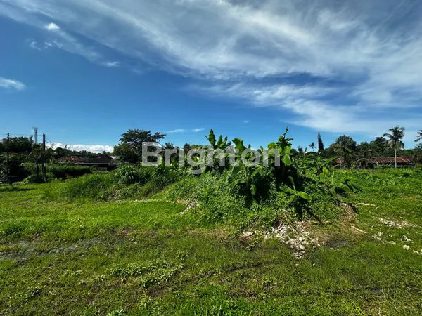 image TANAH ITR KUNING , LUAS 12,85 ARE DI JALAN SINGAPADU TENGAH, GIANYAR – BALI  (4)