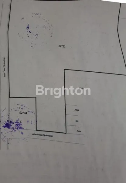 image VILLA DAN PETERNAKAN SAPI 1 HEKTAR DI KAKI GUNUNG BURANGRANG DI CIKAHURIPAN LEMBANG BANDUNG – HUNIAN DAN BISNIS SEKALIGUS (8)