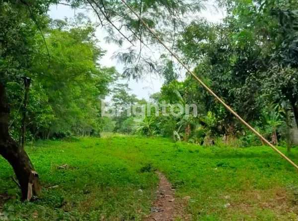 image DI JUAL, LAHAN DI CANGKUDU, BALARAJA,TANGERANG (1)