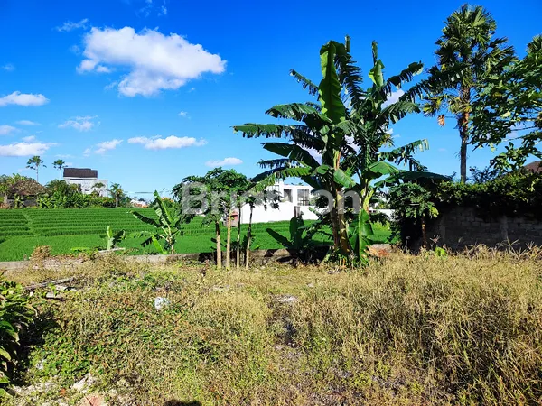 PRIME 8.5 ARE LEASEHOLD LAND WITH RICE FIELD VIEWS IN BERAWA