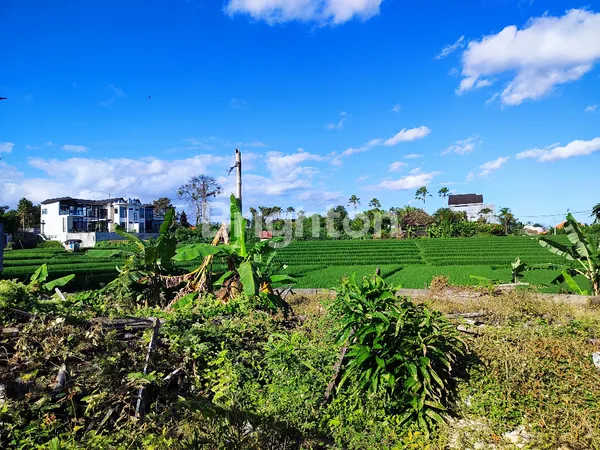 image PRIME 8.5 ARE LEASEHOLD LAND WITH RICE FIELD VIEWS IN BERAWA (2)