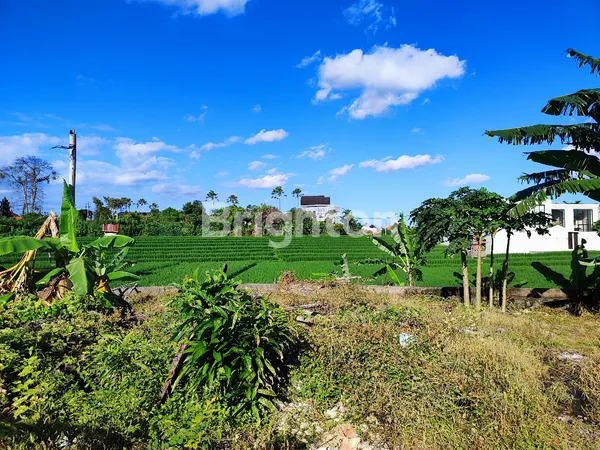 image PRIME 8.5 ARE LEASEHOLD LAND WITH RICE FIELD VIEWS IN BERAWA (3)