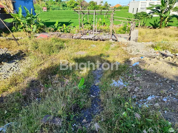 image PRIME 8.5 ARE LEASEHOLD LAND WITH RICE FIELD VIEWS IN BERAWA (5)