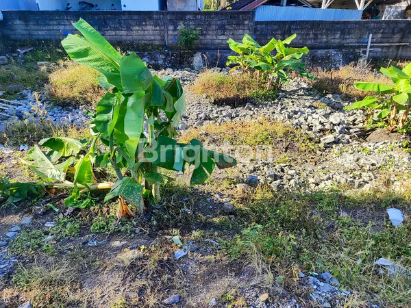 image PRIME 8.5 ARE LEASEHOLD LAND WITH RICE FIELD VIEWS IN BERAWA (6)