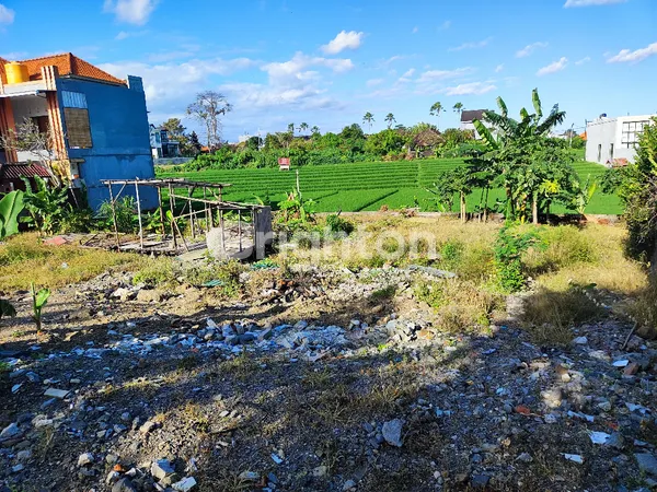 image PRIME 8.5 ARE LEASEHOLD LAND WITH RICE FIELD VIEWS IN BERAWA (7)