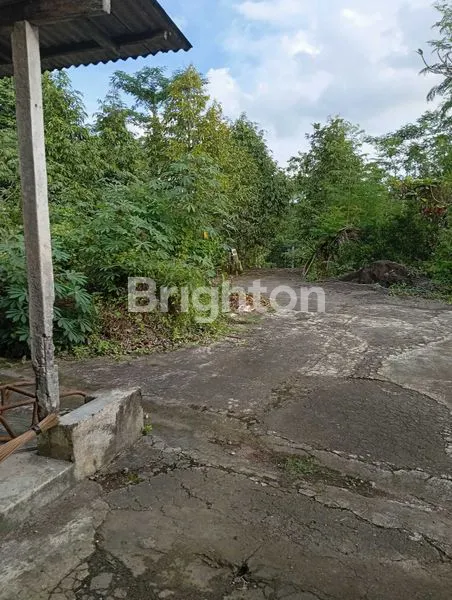 image LAHAN ABIANTUWUNG (7)