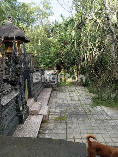 image LAHAN ABIANTUWUNG (2)