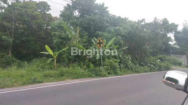 DIJUAL CEPAT TANAH STRATEGIS 1015M2 DI JALAN RAYA LPMP KALASAN SLEMAN JOGJA