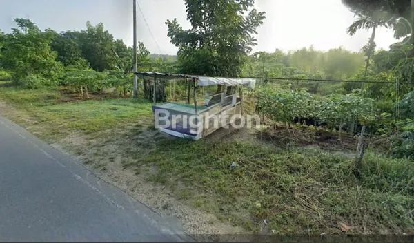 image TANAH DIJUAL CEPAT PINGGIR JALAN BESAR (2)