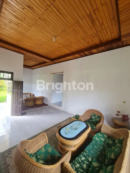 image VILLA ASRI HALAMAN LUAS LOKASI CIPANAS PUNCAK CIANJUR JAWA BARAT  (2)