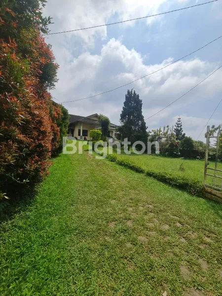 image VILLA ASRI HALAMAN LUAS LOKASI CIPANAS PUNCAK CIANJUR JAWA BARAT  (6)