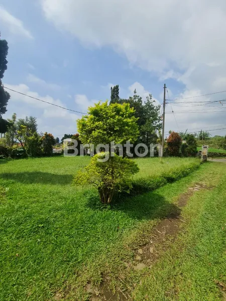 image VILLA ASRI HALAMAN LUAS LOKASI CIPANAS PUNCAK CIANJUR JAWA BARAT  (7)