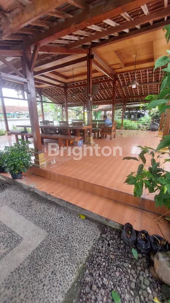 image RUMAH KOKOH BANGUNAN 2 LANTAI STRATEGIS CIAMPEA BOGOR (5)