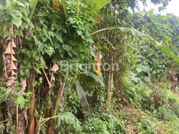 image TANAH STRATEGIS 200M2 DI ABIAN BASE BADUNG, SIAP BANGUN RUMAH IDAMAN (2)