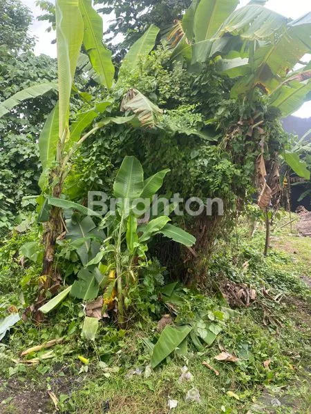 image TANAH STRATEGIS 200M2 DI ABIAN BASE BADUNG, SIAP BANGUN RUMAH IDAMAN (3)