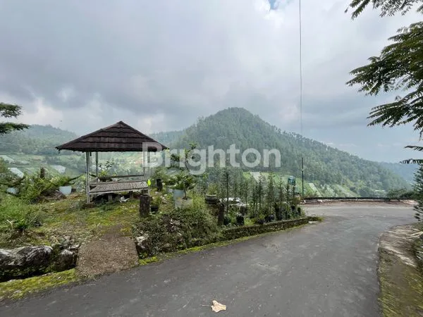 image TANAH + VILLA STRATEGIS JL RAYA UTAMA NGARGOYOSO TELAGA MADIRDA (6)