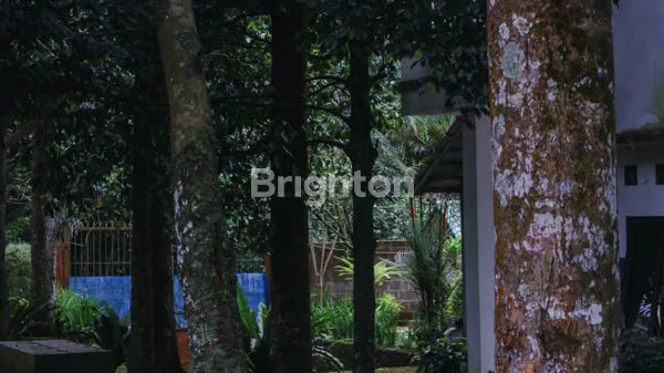 image VILLA KEBUN DUREN DI BOGOR (7)