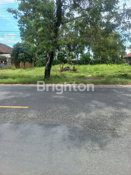 image TANAH 1500M2 DI PRINGSEWU, LOKASI STRATEGIS, HARGA TERJANGKAU (3)