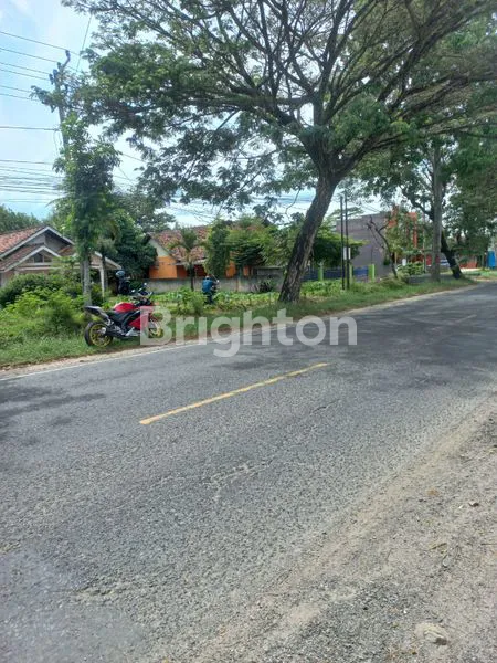 image TANAH 1500M2 DI PRINGSEWU, LOKASI STRATEGIS, HARGA TERJANGKAU (4)