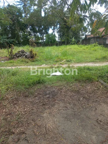 image TANAH 1500M2 DI PRINGSEWU, LOKASI STRATEGIS, HARGA TERJANGKAU (2)