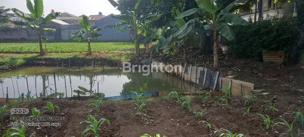 image JUAL TANAH LOKASI STRATEGIS  (4)