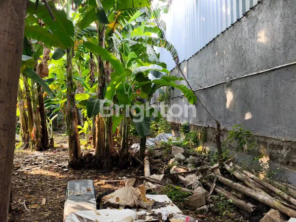 image KAVLING PREMIUM  DENGAN BENTUK TANAH PERSEGI DI KAWASAN SUNTER JAYA, JAKARTA UTARA (3)