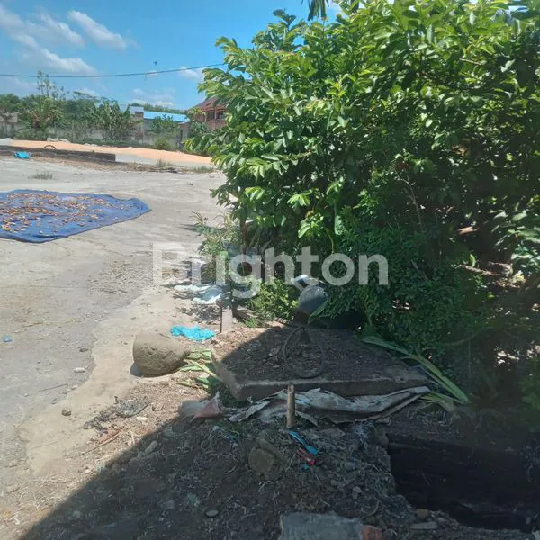 image TANAH SELUAS 2200 M2 POSISI DI JALAN BUNGA  RAMPE RAYA KEBUN BINATANG  SIMALINGKAR B MEDAN (3)