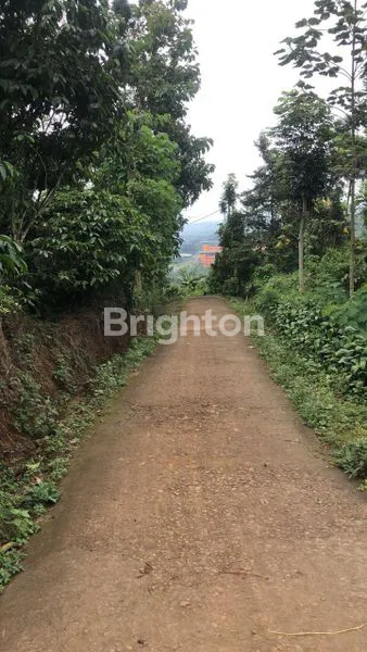 image TANAH WONOSALAM (3)