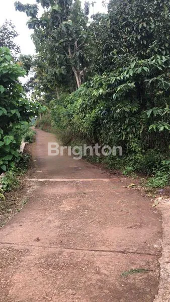 image TANAH WONOSALAM (1)