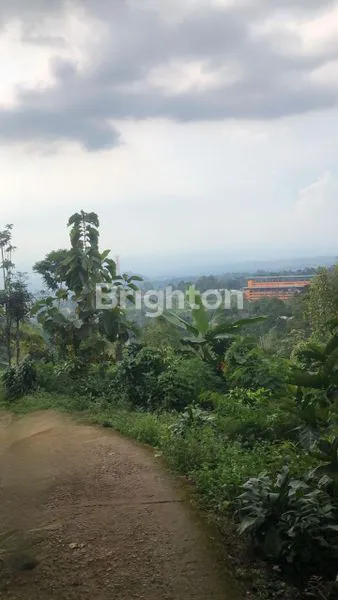 image TANAH WONOSALAM (2)