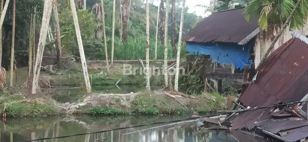 image DIJUAL TANAH & KOLAM IKAN (6)