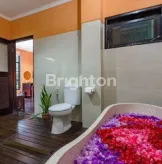 image DIJUAL RESORT & SPA EKSKLUSIF DIKAWASAN STRATEGIS UBUD-BALI,PUSAT BUDAYA DAN WISATA ALAM  YANG TERKENAL (8)