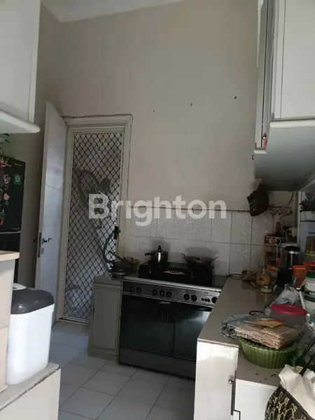 image RUBY PONDOK TJANDRA MINIMALIS UK. BESAR JARANG ADA (3)