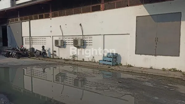 image DIJUAL TANAH DIPLUIT REAYA ( ADA GUDANG DILAHAN TSBT)* (1)