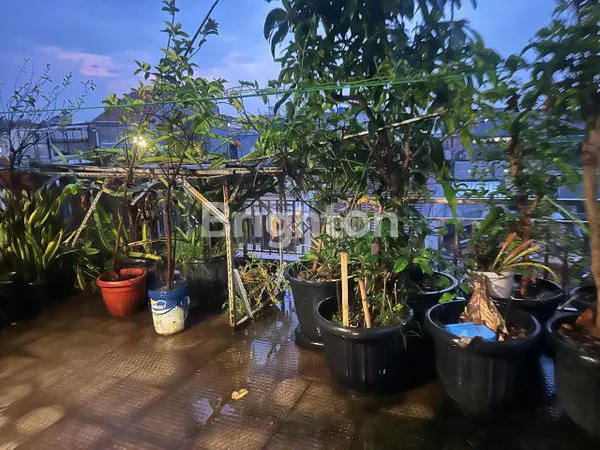 image RUMAH TINGGAL (1)