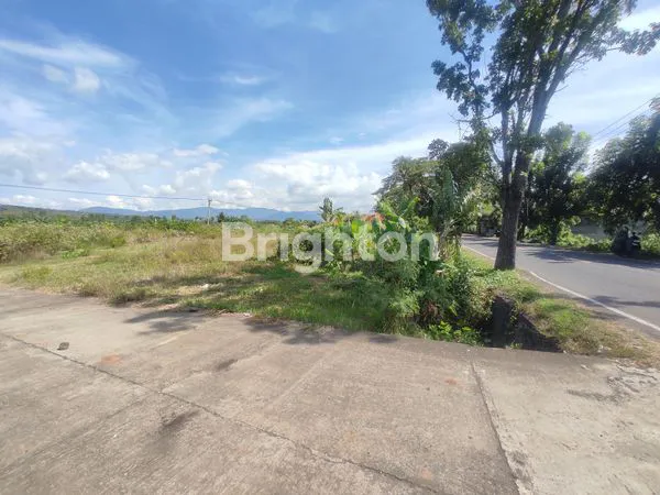 image TANAH SELUAS 3900M² SIAP BANGUN - PROSES IMB PERUNTUKAN GUDANG (4)