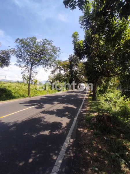 image TANAH SELUAS 3900M² SIAP BANGUN - PROSES IMB PERUNTUKAN GUDANG (6)