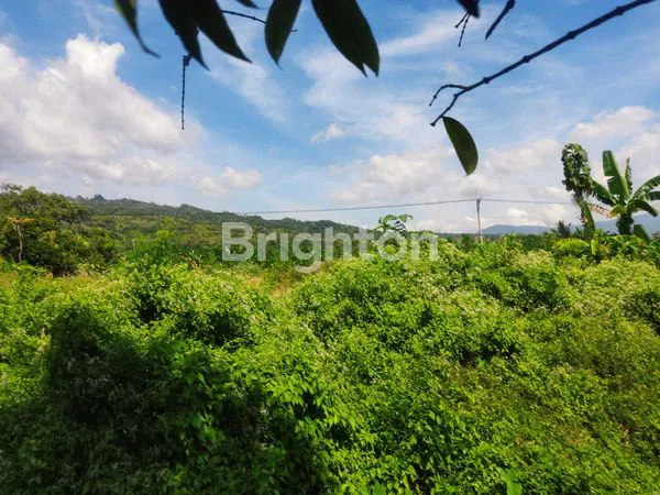 image TANAH SELUAS 3900M² SIAP BANGUN - PROSES IMB PERUNTUKAN GUDANG (3)