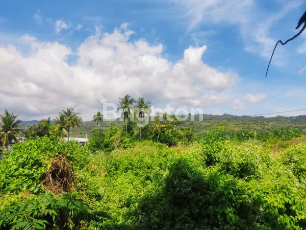image TANAH SELUAS 3900M² SIAP BANGUN - PROSES IMB PERUNTUKAN GUDANG (2)