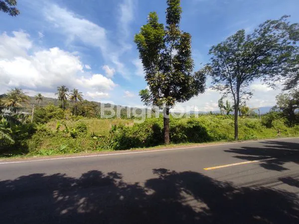 image TANAH SELUAS 3900M² SIAP BANGUN - PROSES IMB PERUNTUKAN GUDANG (1)