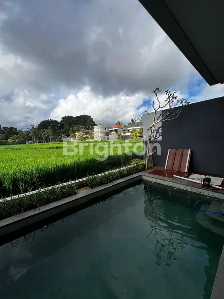 image A SMART INVESTMENT OPPORTUNITY IN THE HEART OF BALI - UBUD (8)
