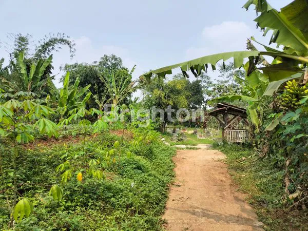 image JUAL TANAH BERKELAS  (2)