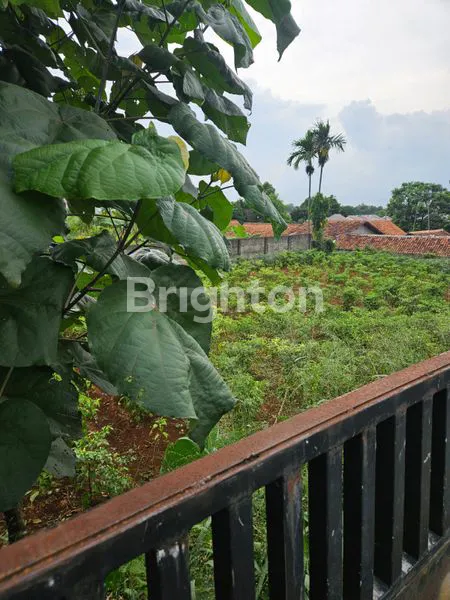 image DI JUAL TANAH LUAS DI JL BATU GEDE CILEBUT, DEKAT STASIUN CILEBUT 2-5 MENIT, DEKAT STASIUN BOJONG GEDE, (2)
