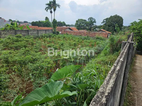 image DI JUAL TANAH LUAS DI JL BATU GEDE CILEBUT, DEKAT STASIUN CILEBUT 2-5 MENIT, DEKAT STASIUN BOJONG GEDE, (4)
