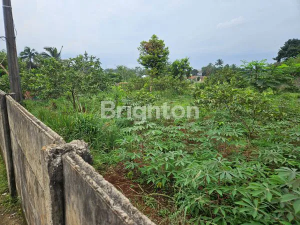 DI JUAL TANAH LUAS DI JL BATU GEDE CILEBUT, DEKAT STASIUN CILEBUT 2-5 MENIT, DEKAT STASIUN BOJONG GEDE,