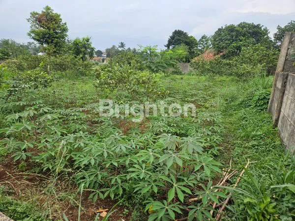 image DI JUAL TANAH LUAS DI JL BATU GEDE CILEBUT, DEKAT STASIUN CILEBUT 2-5 MENIT, DEKAT STASIUN BOJONG GEDE, (3)