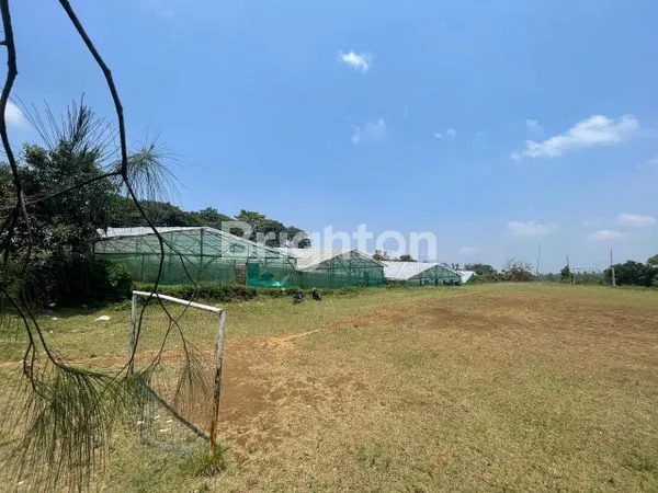 image TANAH GREEN HOUSE DI DESA PUNGGING PASURUAN (1)