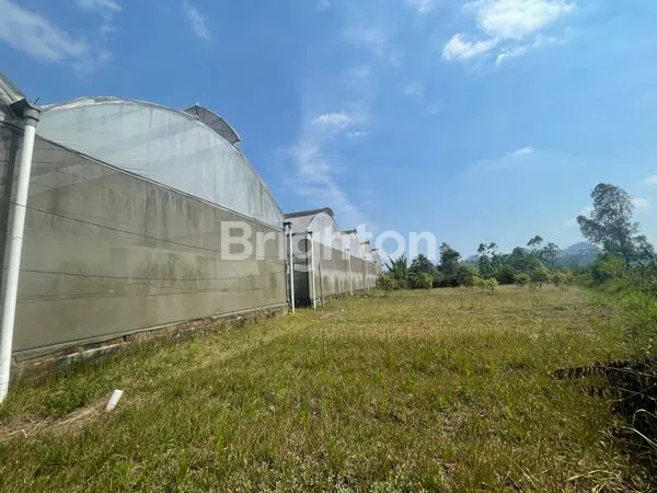 image TANAH GREEN HOUSE DI DESA PUNGGING PASURUAN (7)